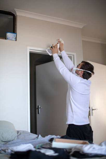 Best Asbestos and Lead Testing During Mold Inspection  in Jemison, AL